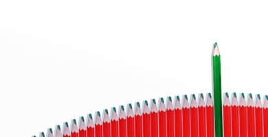 Diferencia entre Jamón y Paleta de Los Pedroches: ¿Cuál