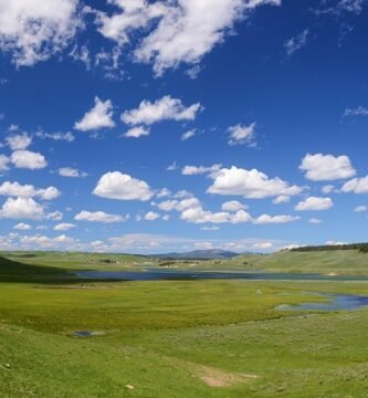El Valle de los Pedroches: Por qué es el ecosistema ide