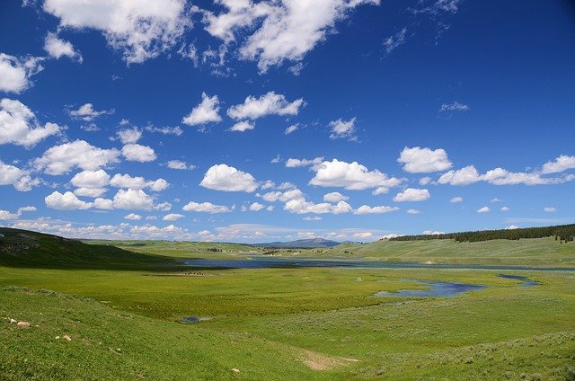 Historia cooperativa Covap: Excelencia en el jamón ibérico
